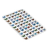 蝶 マグネット (右側)