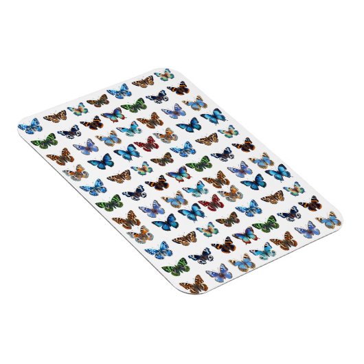 蝶 マグネット (右側)