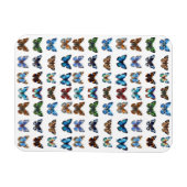 蝶 マグネット (横)