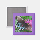 蝶 マグネット (正面/裏面)