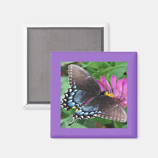 蝶 マグネット (正面/裏面)