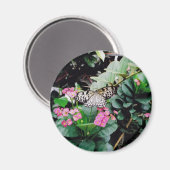 蝶 マグネット (正面/裏面)