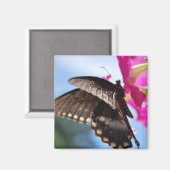 蝶 マグネット (正面/裏面)