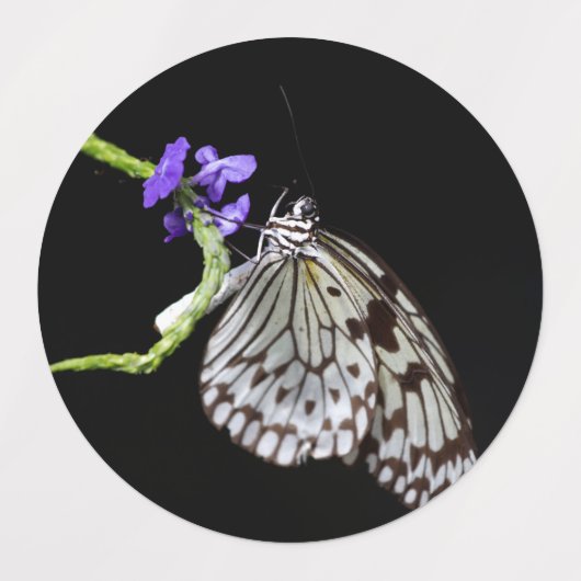 蝶 ラベル (デザイン2)