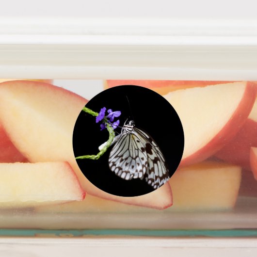 蝶 ラベル (貼付)