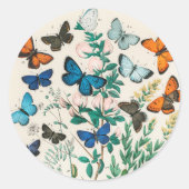 蝶、ヴィンテージイラストレーション ラウンドシール (正面)