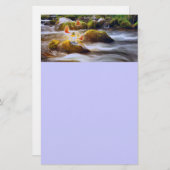 蝶 便箋 (正面/裏面)