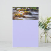 蝶 便箋 (スタンド正面)