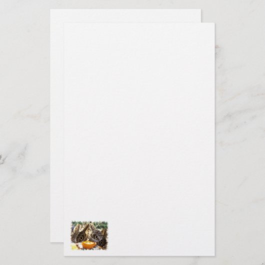 蝶 便箋 (正面/裏面)