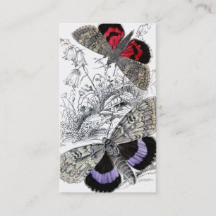 蝶 名刺