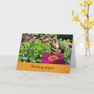 蝶 - 想い出(中は空白) カード