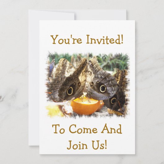 蝶 招待状 (正面)