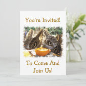 蝶 招待状 (スタンド正面)