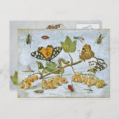 蝶、毛虫、果実 ポストカード (正面/裏面)