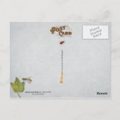 蝶、毛虫、果実 ポストカード (裏面)