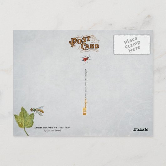 蝶、毛虫、果実 ポストカード (裏面)