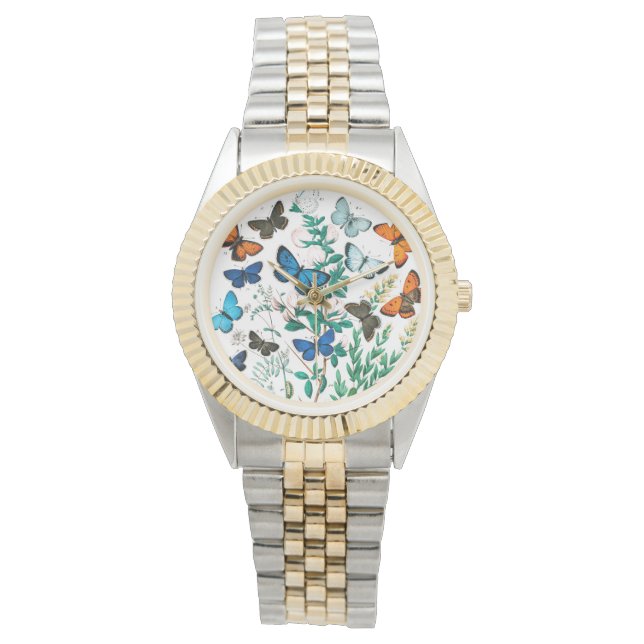 蝶、毛虫William Forsell Kirby 腕時計 (正面)
