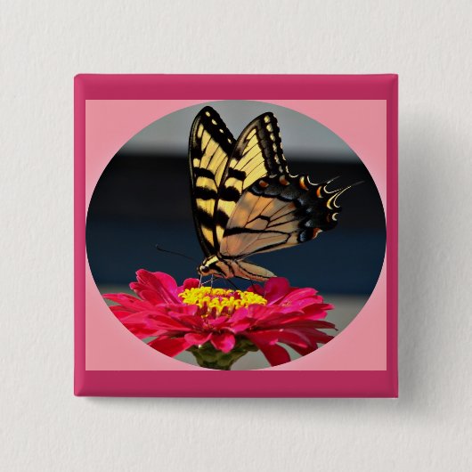 蝶 缶バッジ (正面)