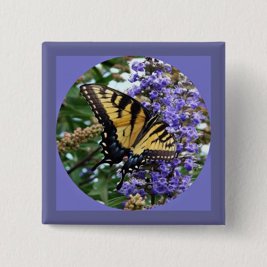 蝶 缶バッジ (正面)