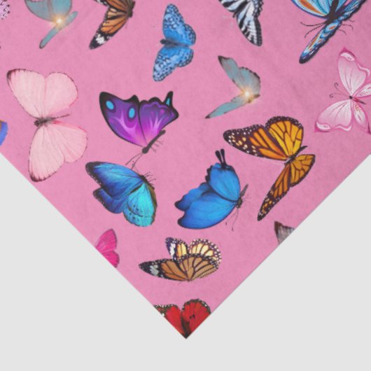 蝶 薄葉紙 (詳細)