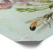 蝶、蛾その他の昆虫 ポスター (角)