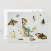 蝶、蛾その他の昆虫 ポストカード (正面/裏面)