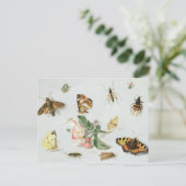 蝶、蛾その他の昆虫 ポストカード (スタンド正面)