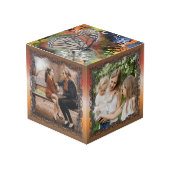 蝶(蝶) フォトキューブ (正面アングル)