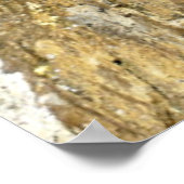 蝶 – 赤提督 ポスター (角)