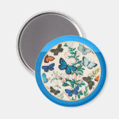 蝶、青い枠 マグネット (正面/裏面)