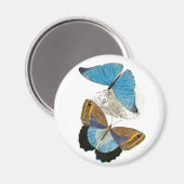 蝶 – 青 マグネット (正面/裏面)