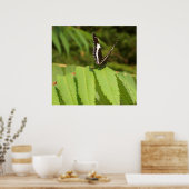 蝶 黒 白 蝶 ポスター (キッチン)