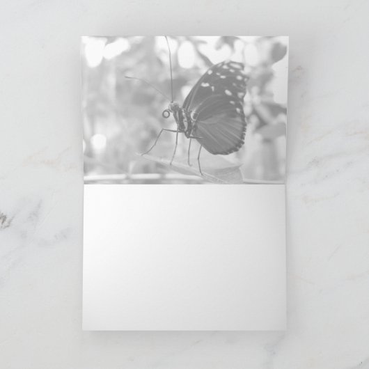 蝶#1 カード (内部)