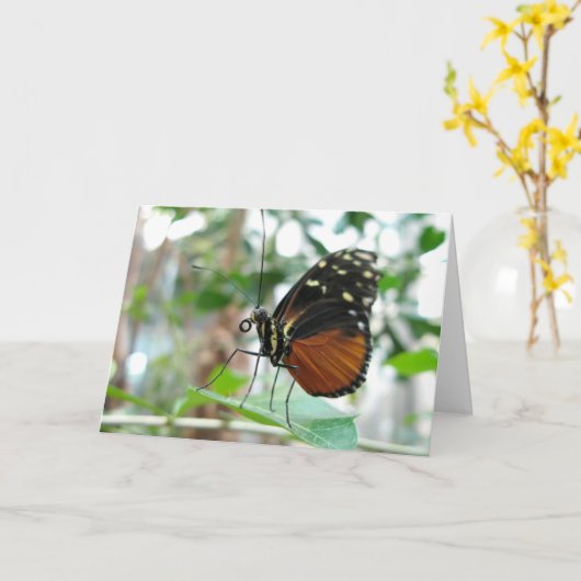 蝶#1 カード (黄色い花)