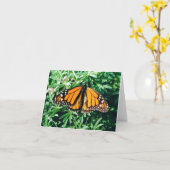 蝶notecards カード (黄色い花)