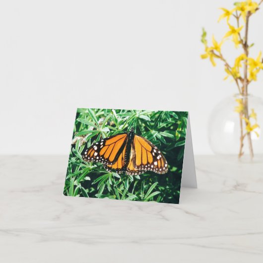 蝶notecards カード (黄色い花)