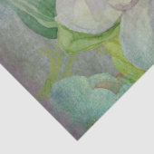 蝶wマグノリア水カラーフローラ切り離し 薄葉紙 (詳細)