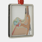 蝸牛なインプラント メタルオーナメント (右)