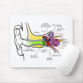 蝸牛な頻度地図を描くことを用いる人間の耳の図表 マウスパッド (マウス)