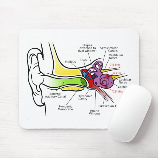 蝸牛な頻度地図を描くことを用いる人間の耳の図表 マウスパッド (マウス)