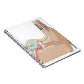 蝸牛内植物 ノートブック (右側)