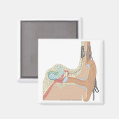 蝸牛内植物 マグネット (正面/裏面)