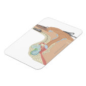 蝸牛内植物 マグネット (左側)