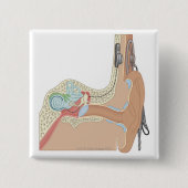 蝸牛内植物 缶バッジ (正面)