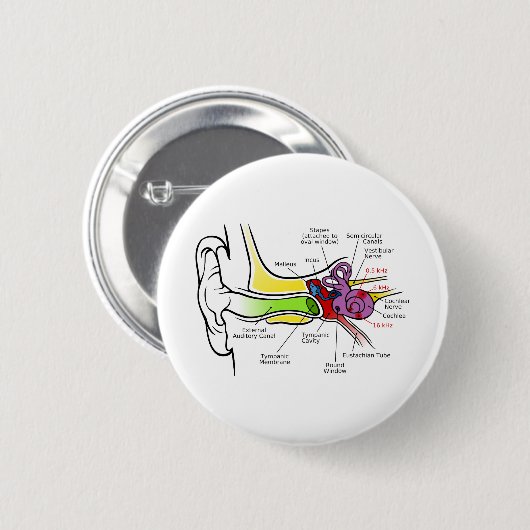 蝸牛周波数マッピングを有するヒト耳図 缶バッジ (正面&裏面)