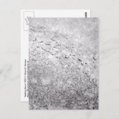 融雪 ポストカード (正面/裏面)