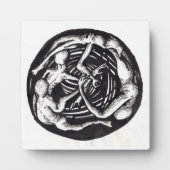 螺旋下降 フォトプラーク (正面)