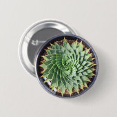 螺線形のアロエボタン 缶バッジ (正面&裏面)