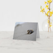 螺線形の貝殻のビーチのメッセージカード カード (黄色い花)