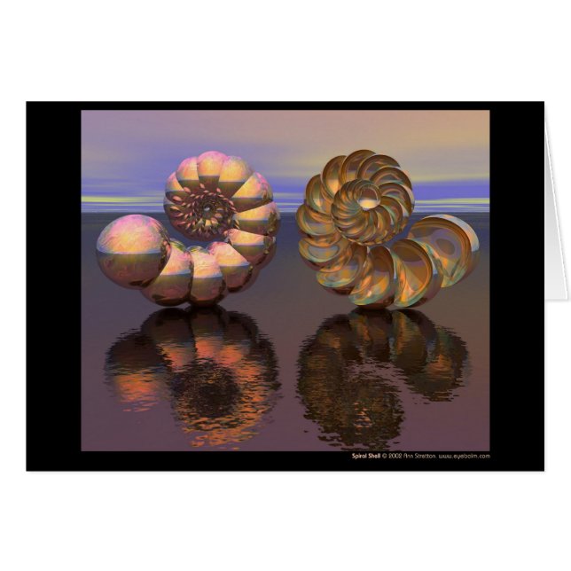 螺線形の貝 (正面横)